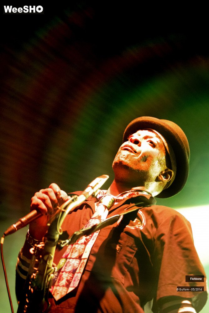 32/50 photos du spectacle Fishbone