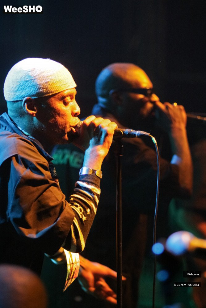 33/50 photos du spectacle Fishbone