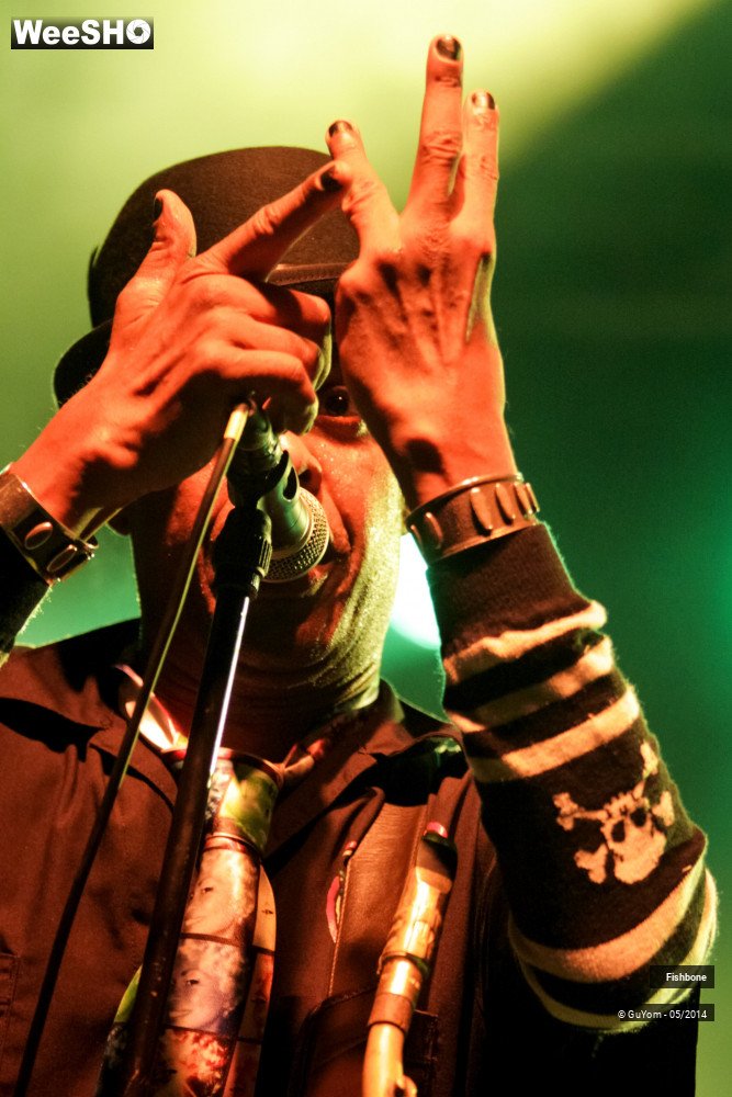 36/50 photos du spectacle Fishbone