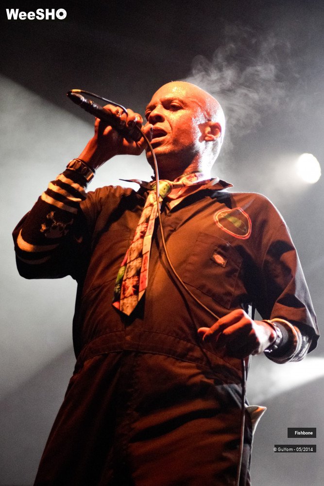 38/50 photos du spectacle Fishbone
