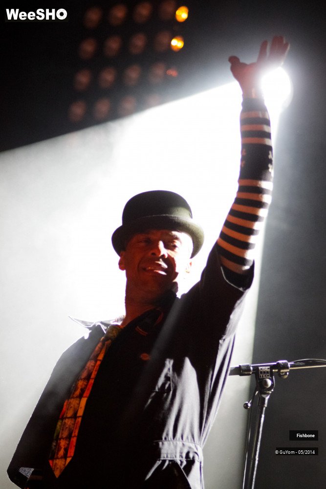 40/50 photos du spectacle Fishbone