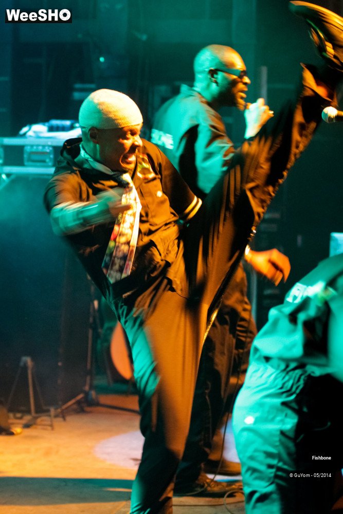 41/50 photos du spectacle Fishbone