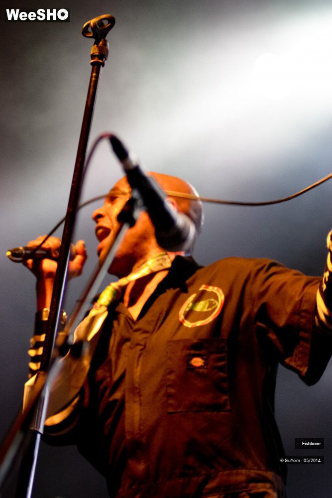 42/50 photos du spectacle Fishbone