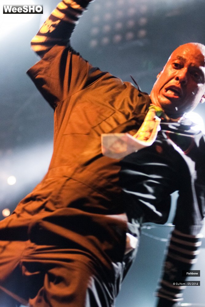 44/50 photos du spectacle Fishbone