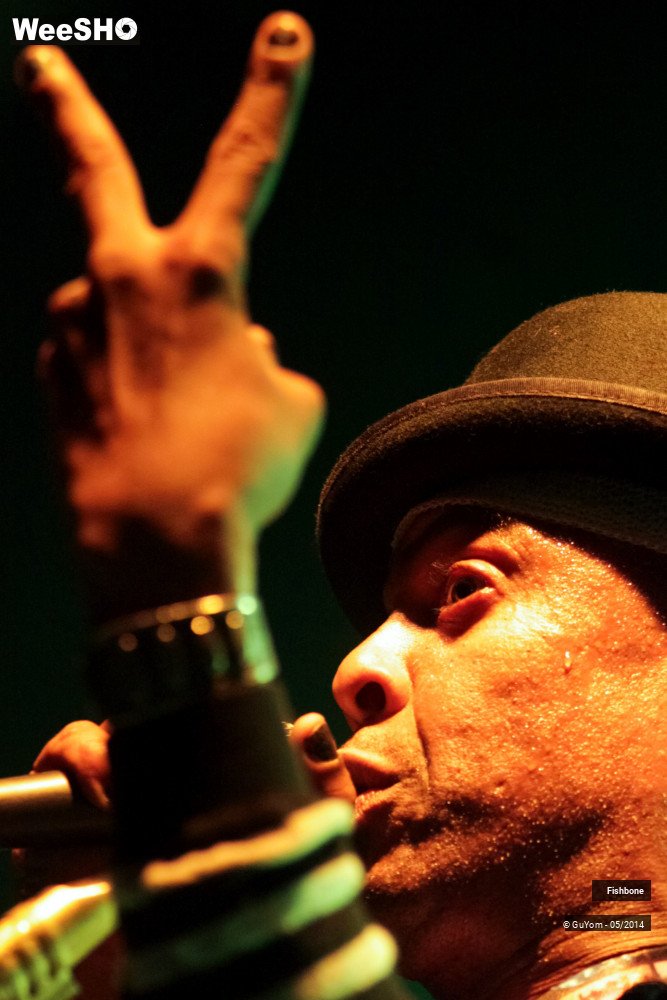 45/50 photos du spectacle Fishbone