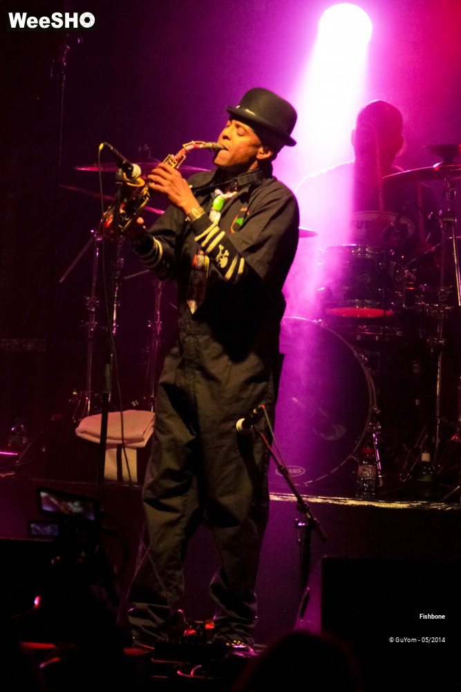 47/50 photos du spectacle Fishbone