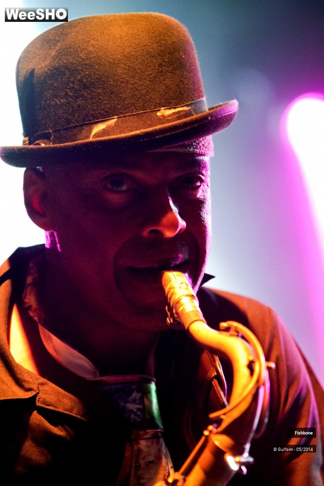 48/50 photos du spectacle Fishbone