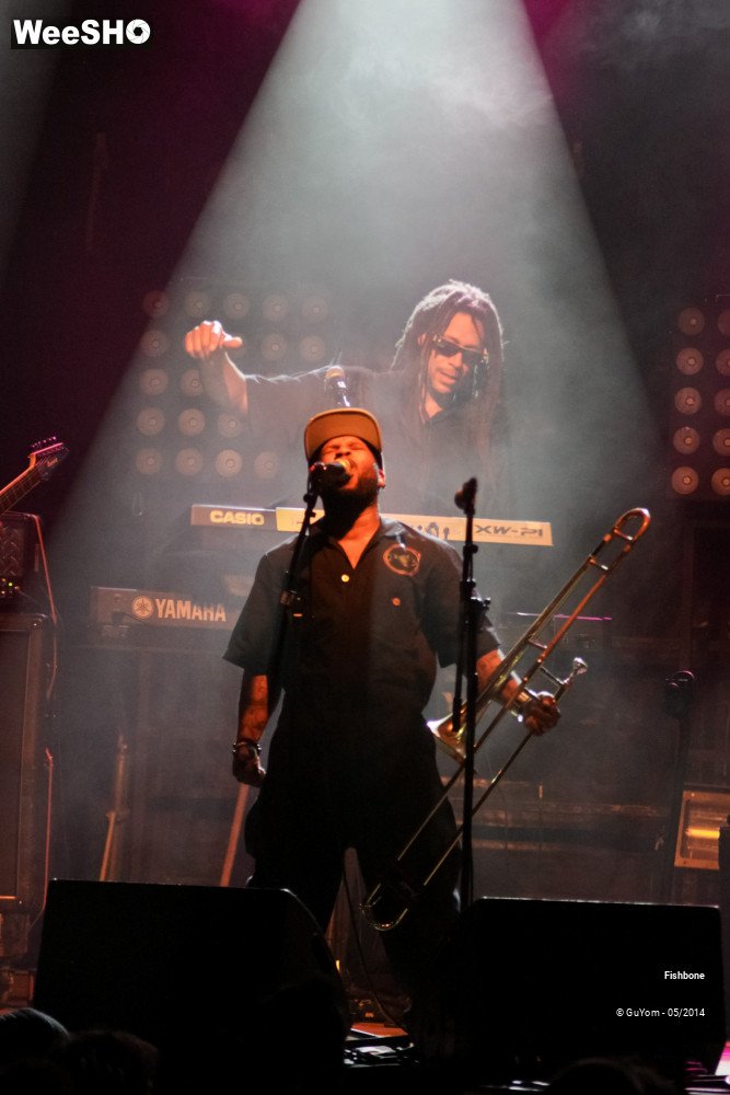 49/50 photos du spectacle Fishbone