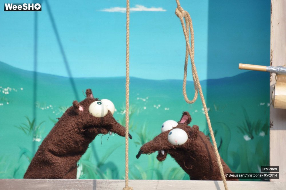 36/38 photos du spectacle The Alchimist