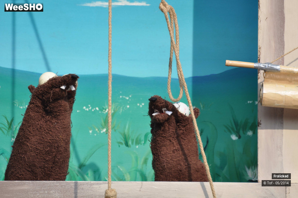 6/38 photos du spectacle The Alchimist