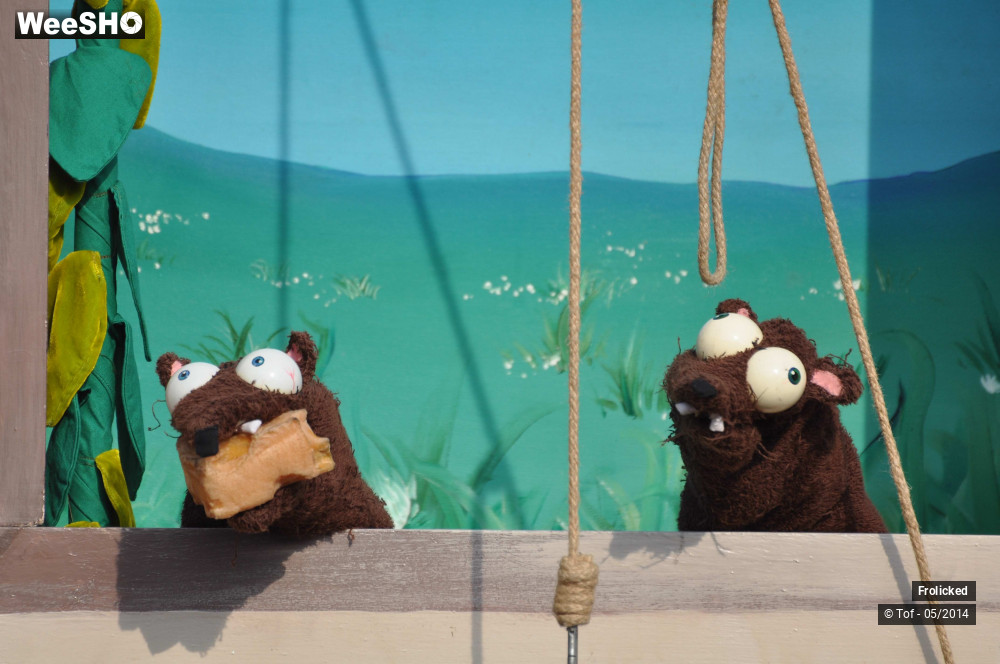 13/38 photos du spectacle The Alchimist