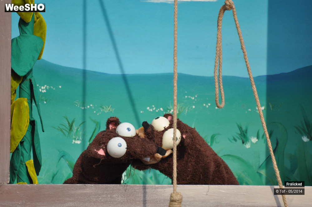 14/38 photos du spectacle The Alchimist