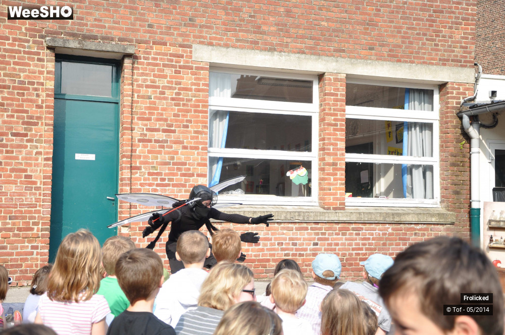 17/38 photos du spectacle The Alchimist