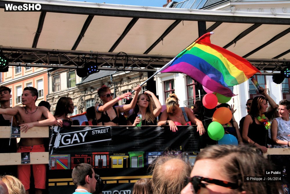 3/47 photos du spectacle Lesbian Gay Pride 2014
