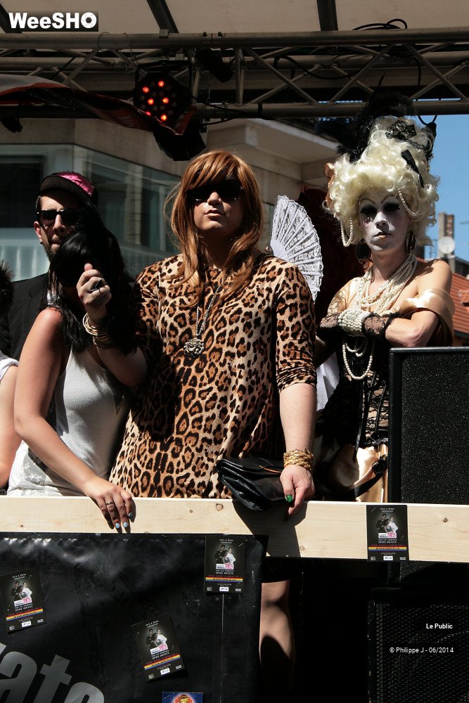 13/47 photos du spectacle Lesbian Gay Pride 2014
