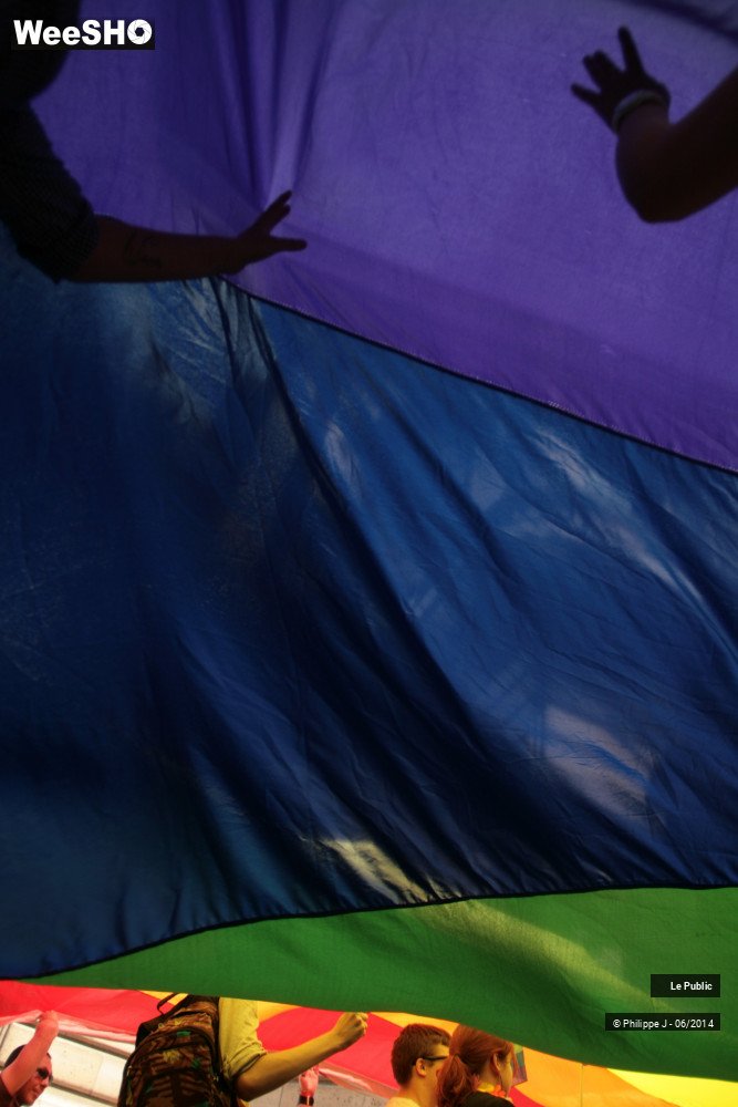 20/47 photos du spectacle Lesbian Gay Pride 2014