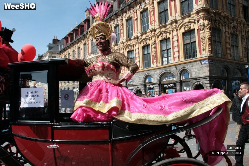 24/47 photos du spectacle Lesbian Gay Pride 2014
