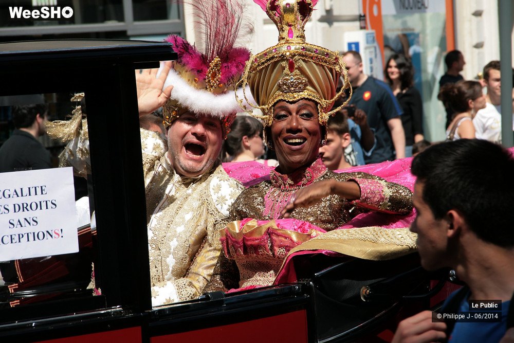 30/47 photos du spectacle Lesbian Gay Pride 2014