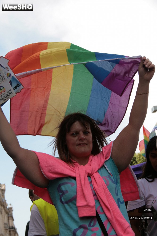 44/47 photos du spectacle Lesbian Gay Pride 2014