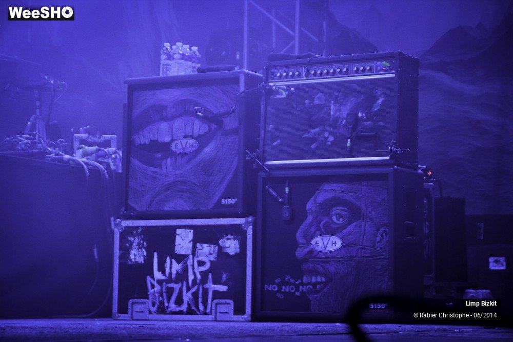 1/25 photos du spectacle Limp Bizkit