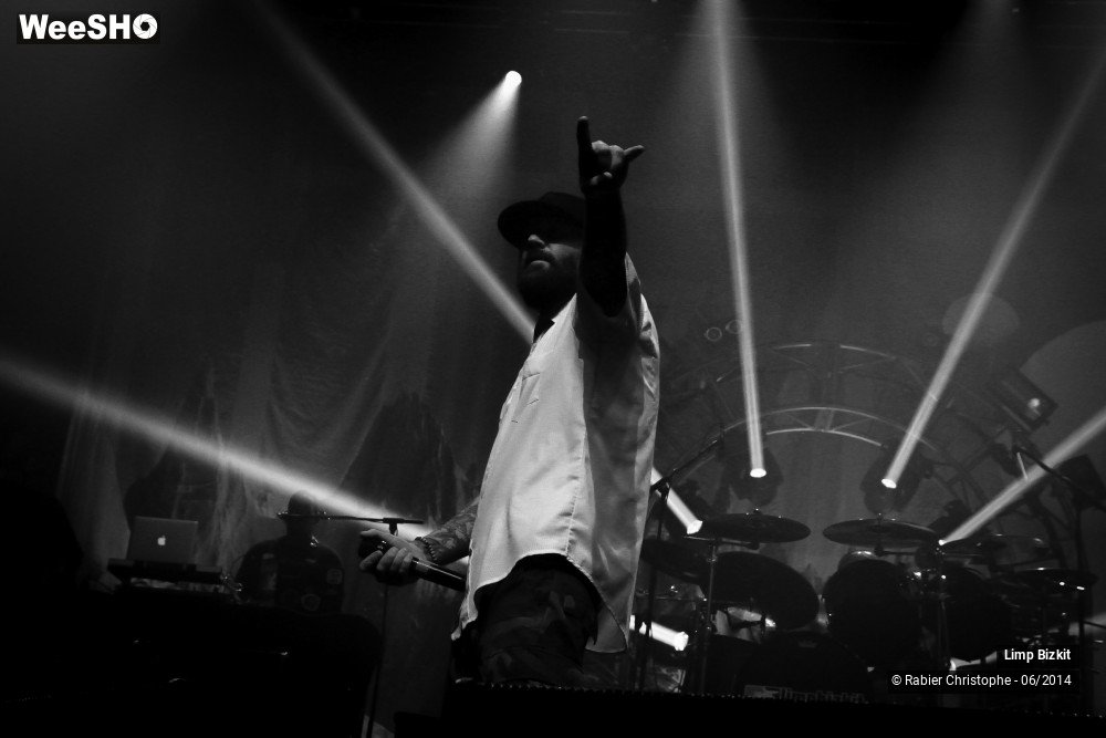 2/25 photos du spectacle Limp Bizkit