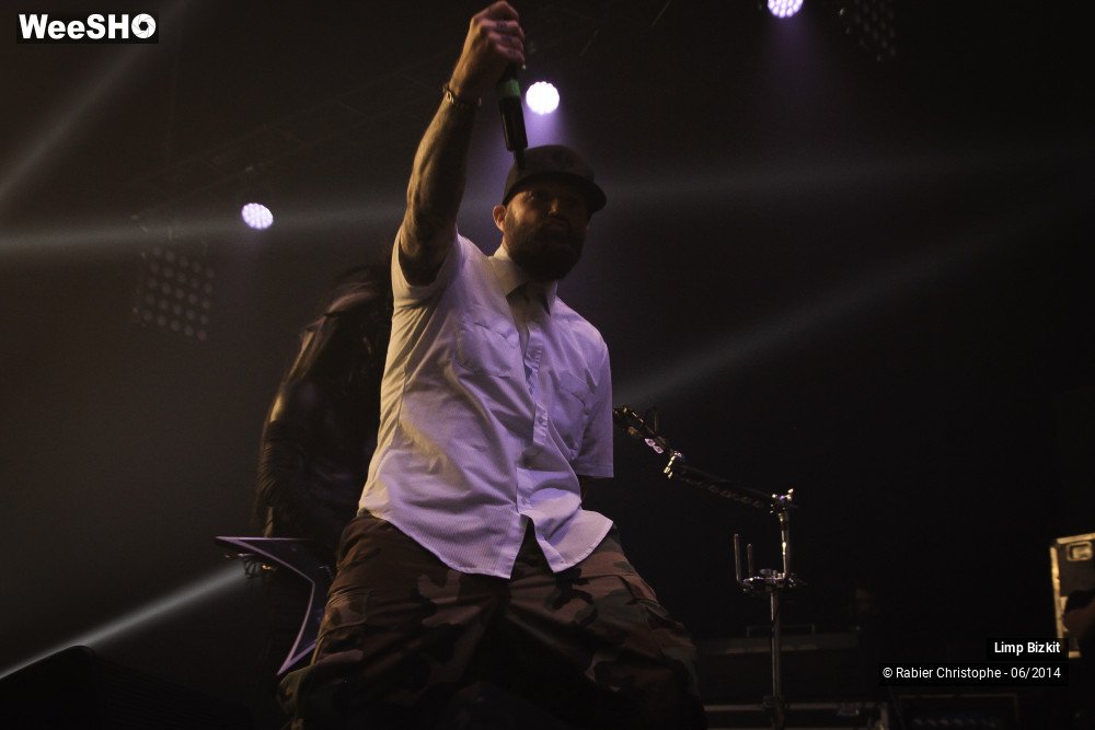 4/25 photos du spectacle Limp Bizkit