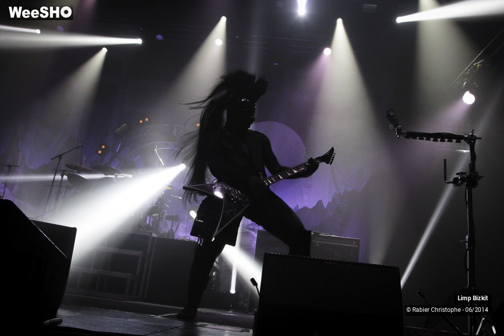 5/25 photos du spectacle Limp Bizkit