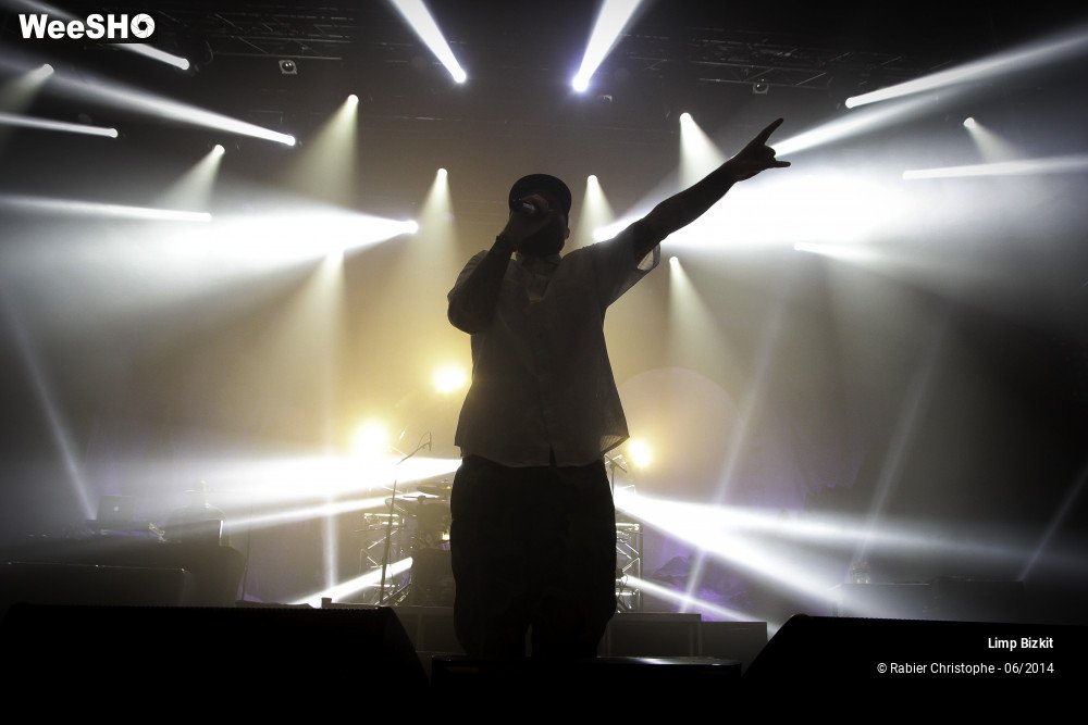 6/25 photos du spectacle Limp Bizkit