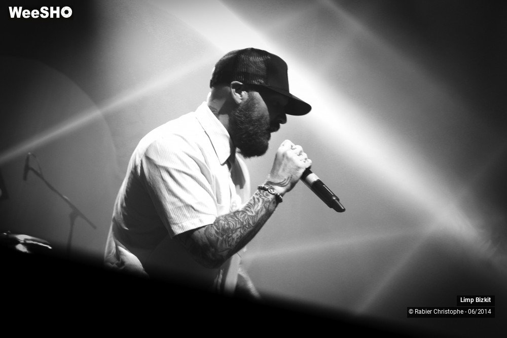 8/25 photos du spectacle Limp Bizkit