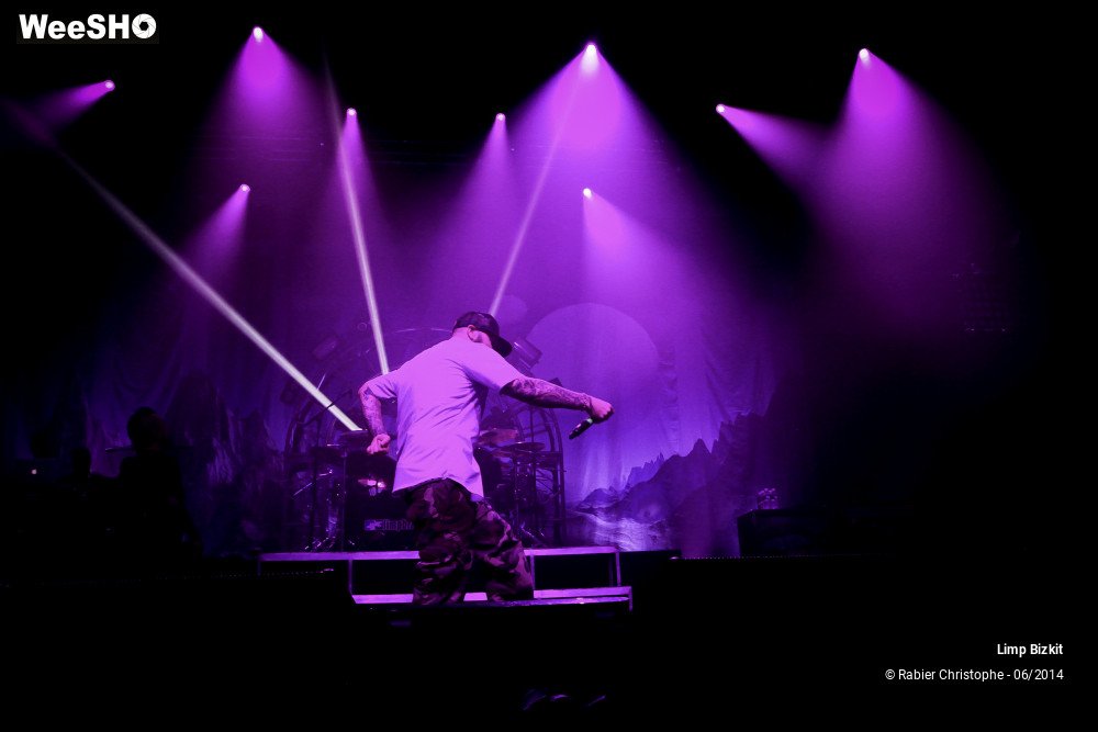 13/25 photos du spectacle Limp Bizkit