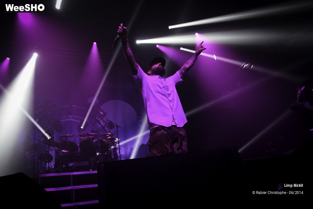 14/25 photos du spectacle Limp Bizkit