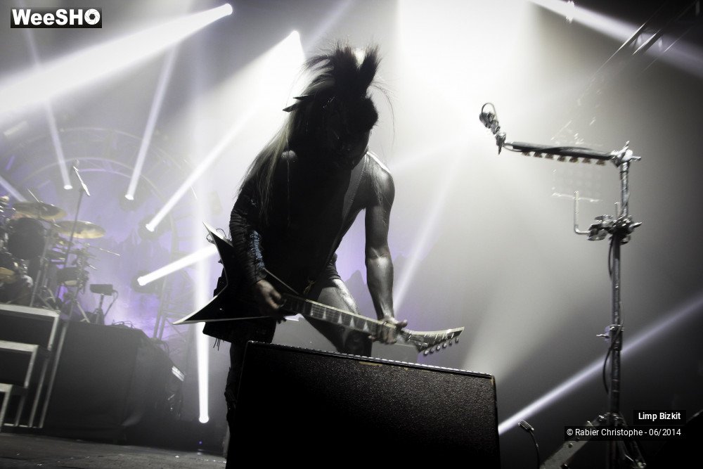 15/25 photos du spectacle Limp Bizkit