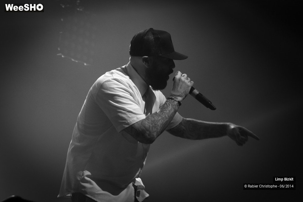 16/25 photos du spectacle Limp Bizkit
