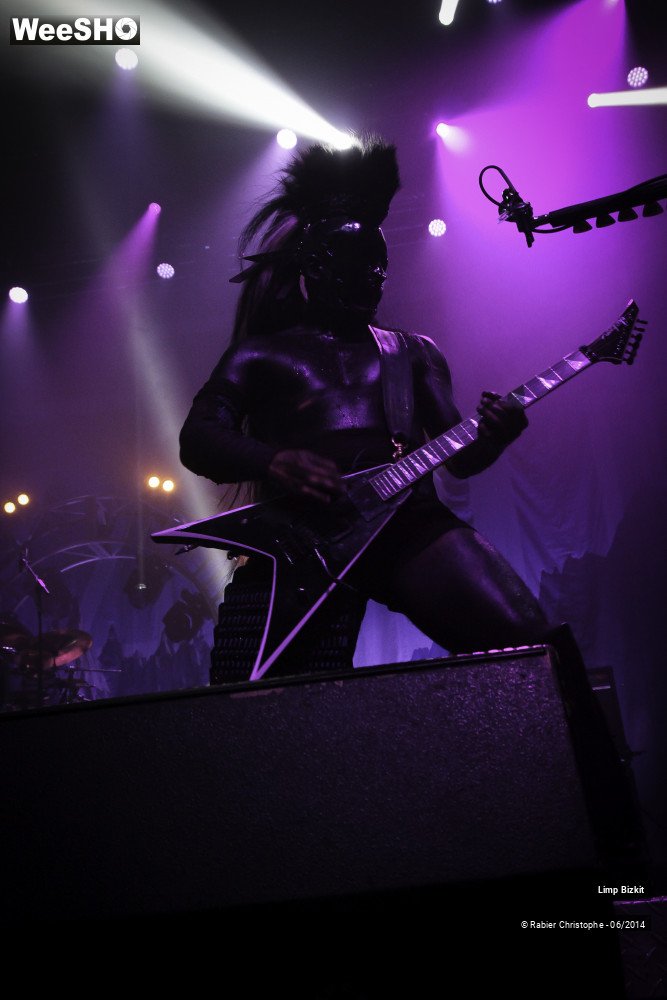 17/25 photos du spectacle Limp Bizkit