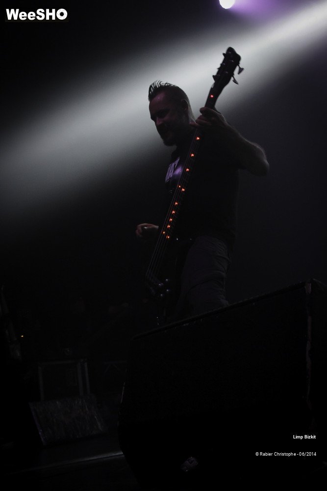 18/25 photos du spectacle Limp Bizkit