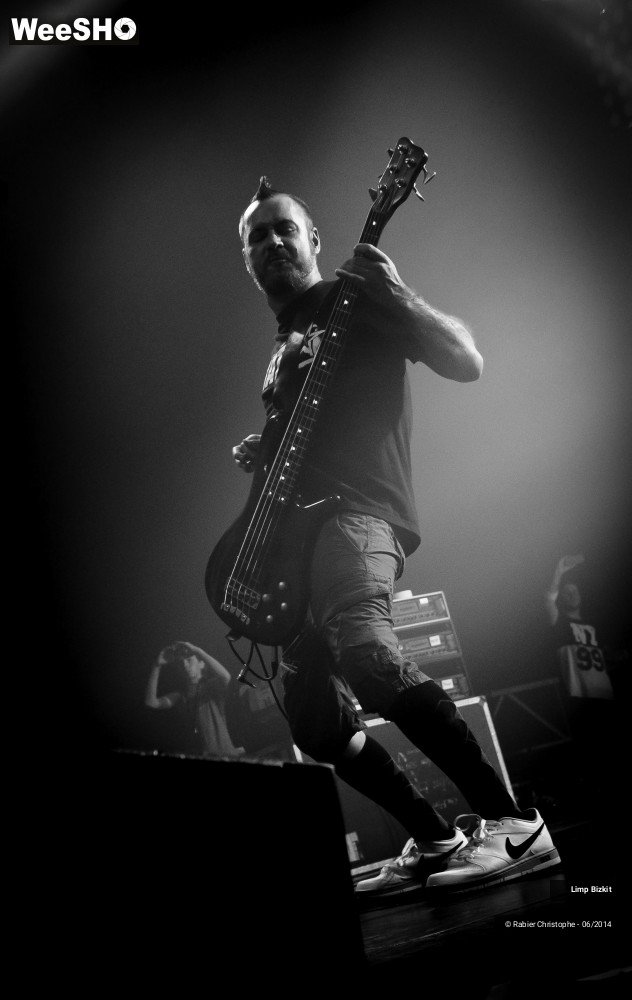 19/25 photos du spectacle Limp Bizkit