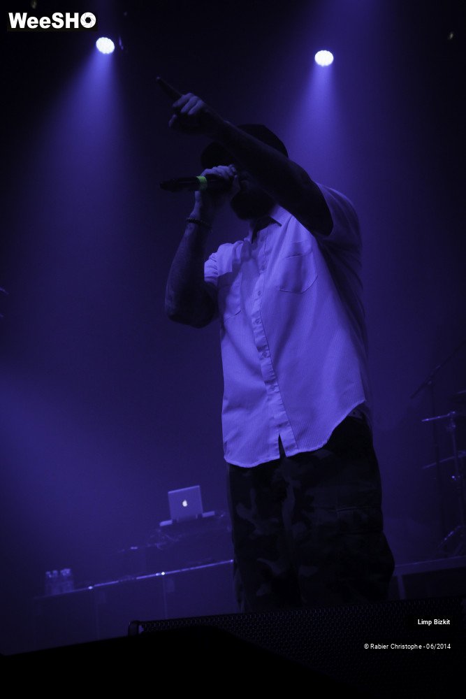 20/25 photos du spectacle Limp Bizkit