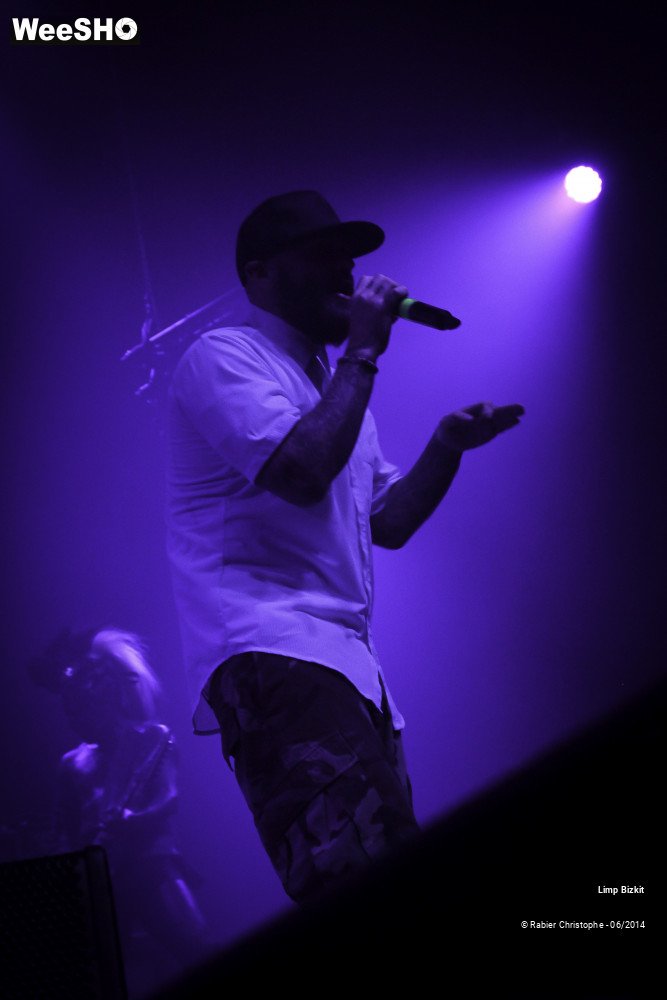 21/25 photos du spectacle Limp Bizkit