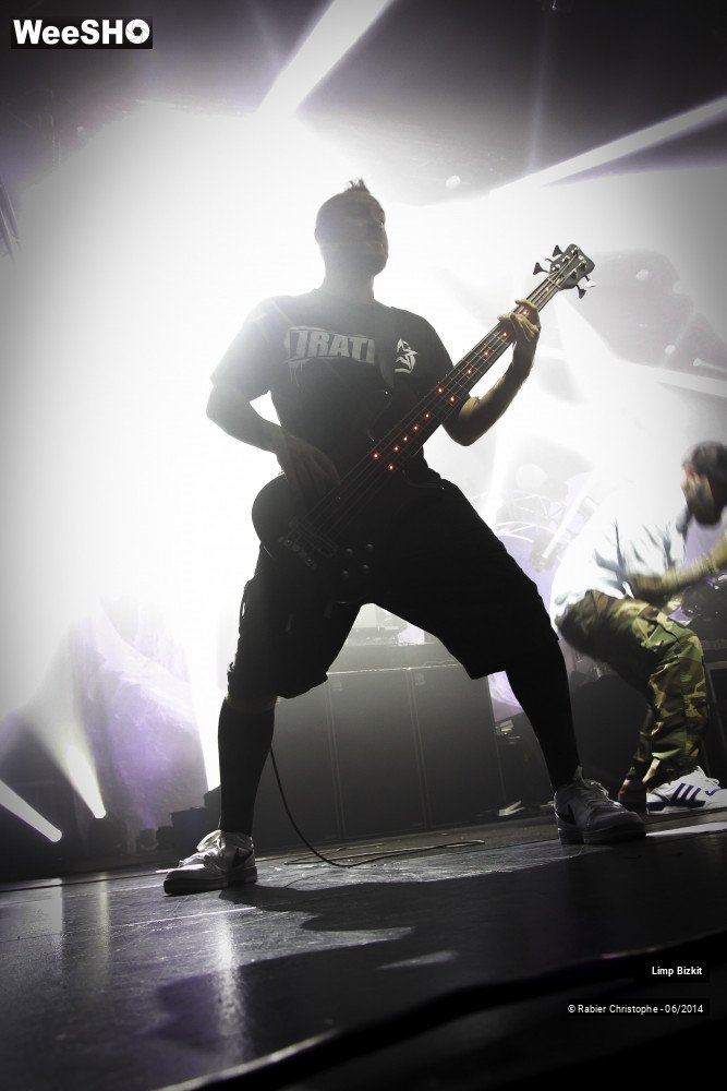 22/25 photos du spectacle Limp Bizkit
