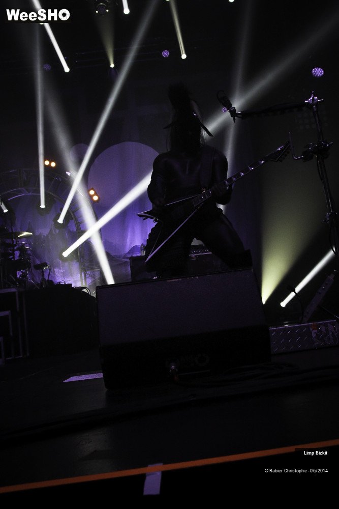 23/25 photos du spectacle Limp Bizkit