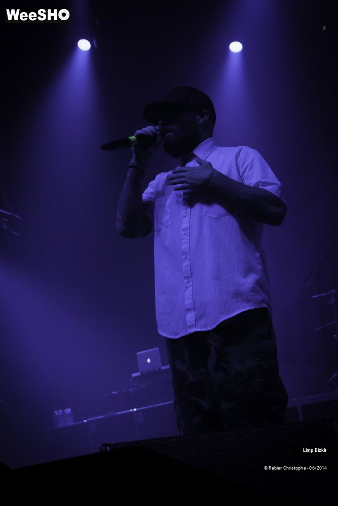 24/25 photos du spectacle Limp Bizkit