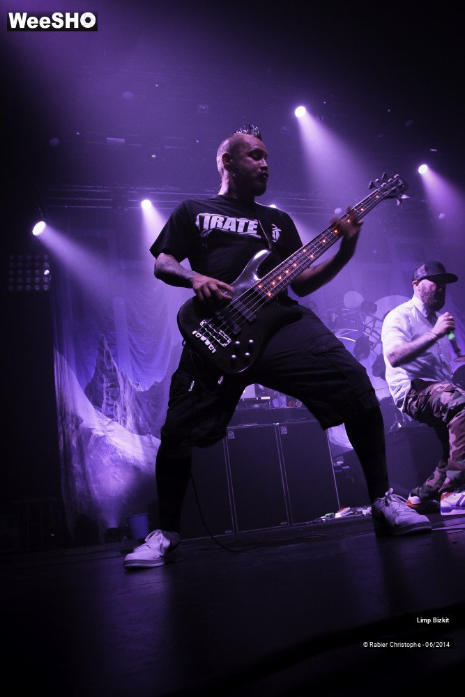 25/25 photos du spectacle Limp Bizkit