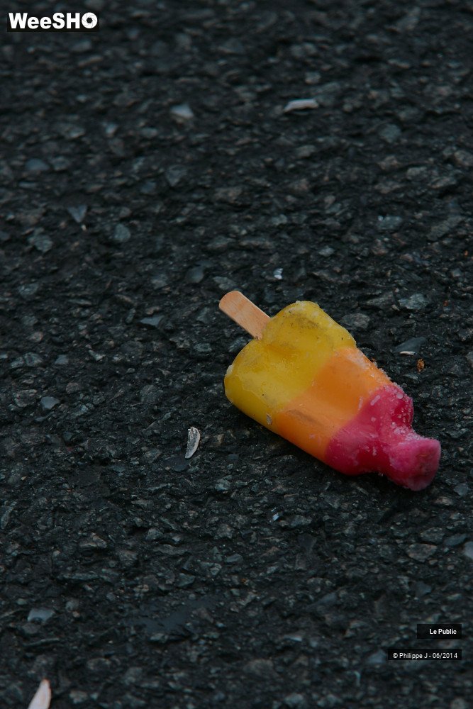 33/38 photos du spectacle La Voix du Rock 2014 Ambiance