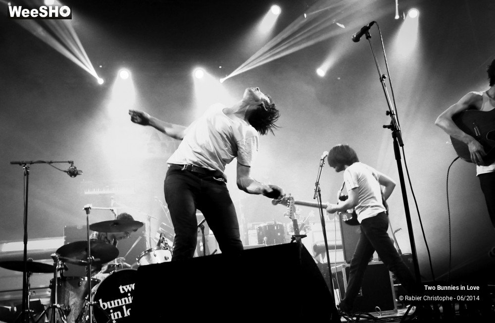 8/38 photos du spectacle Two Bunnies in Love