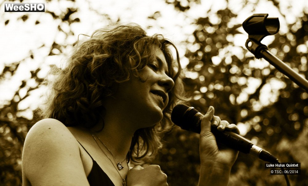 2/25 photos du spectacle Luke Hulus Quintet