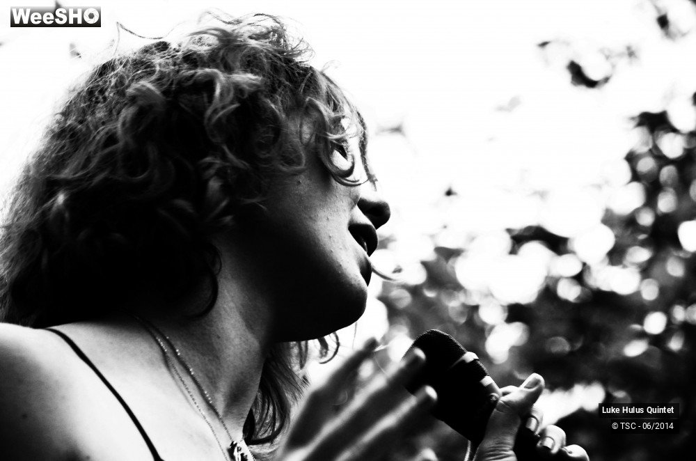 5/25 photos du spectacle Luke Hulus Quintet