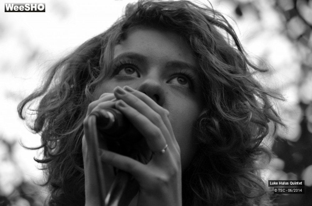 6/25 photos du spectacle Luke Hulus Quintet