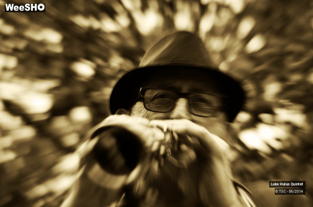 8/25 photos du spectacle Luke Hulus Quintet