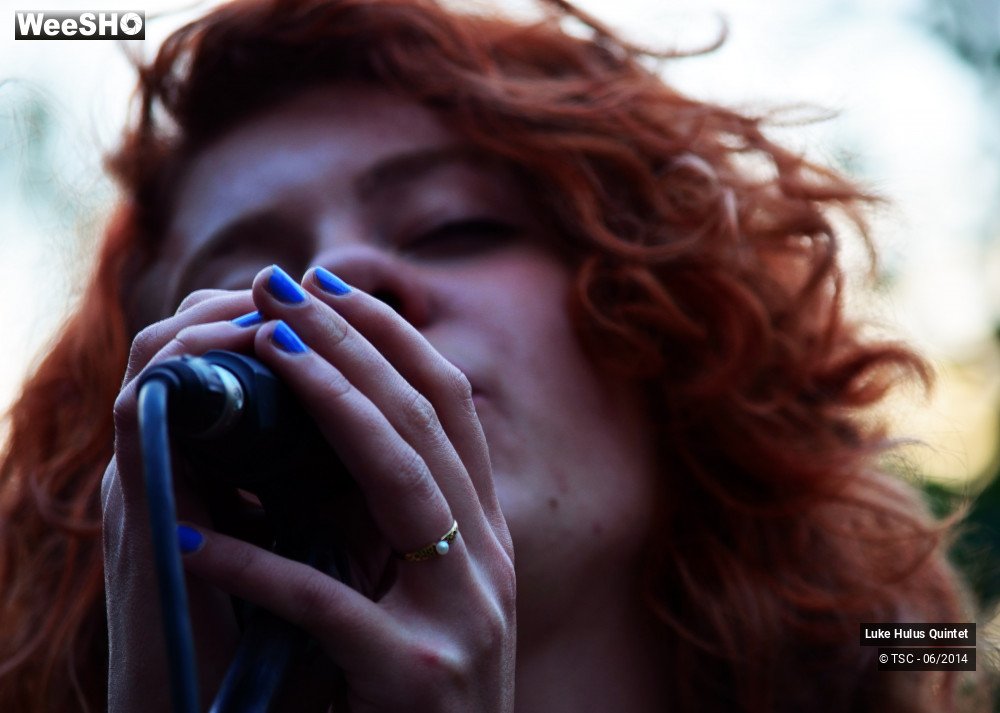 16/25 photos du spectacle Luke Hulus Quintet