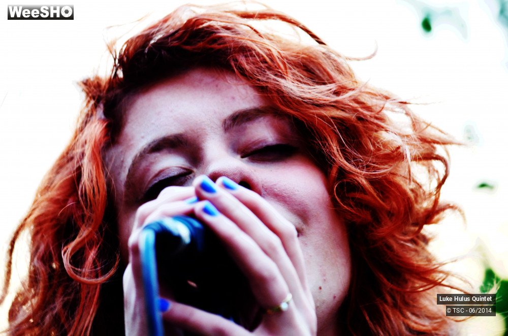 20/25 photos du spectacle Luke Hulus Quintet